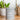 JASPER GREY TREAT CANISTER - Park Life Designs