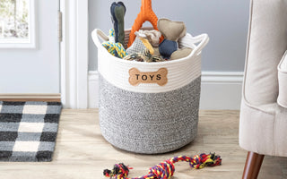 How to Transform Your Home with Park Life Designs