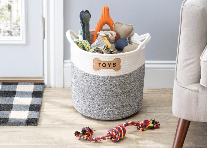 How to Transform Your Home with Park Life Designs
