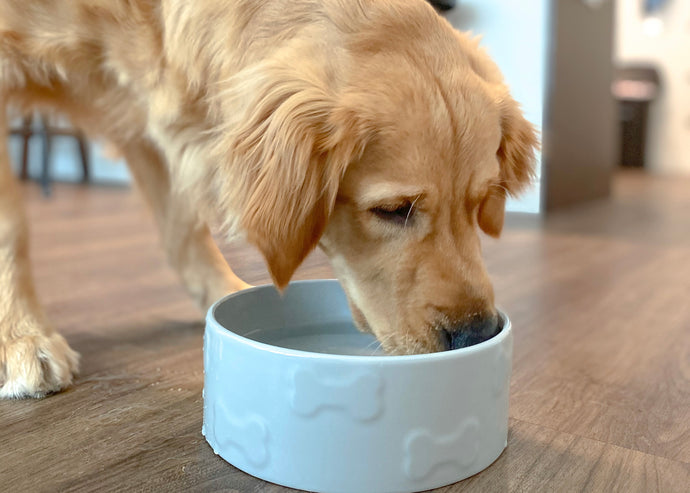 The Vital Role of Hydration