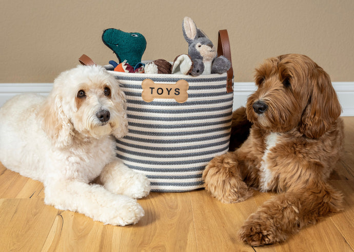 Joyful Benefits of a Pet Toy Basket