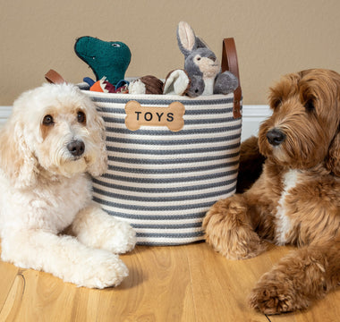 Joyful Benefits of a Pet Toy Basket