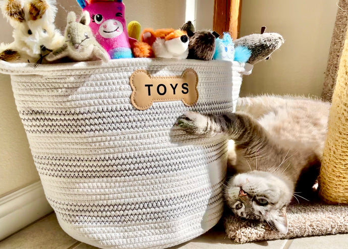 The Importance of Playtime