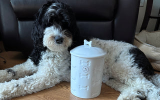 Pawesome Treat Jars: A Fun Way to Spoil Your Furry Friends
