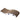 Print Cat Scratch Pad - Park Life Designs