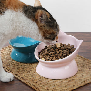OSCAR TILT CAT DISH PINK - Park Life Designs
