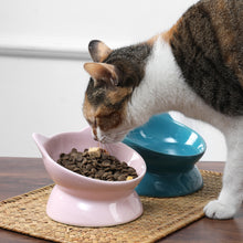 Load image into Gallery viewer, OSCAR TILT CAT DISH PINK - Park Life Designs
