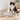 SCRIPT MEOW CAT BOWL SET - Park Life Designs