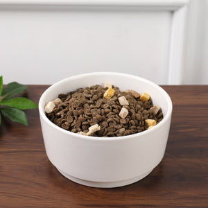 CASA VINTAGE WHITE PET BOWL - Park Life Designs