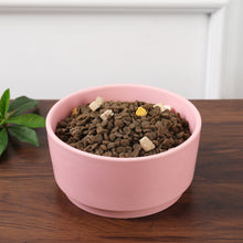 Load image into Gallery viewer, CASA BLUSH ROSE PET BOWL - Park Life Designs