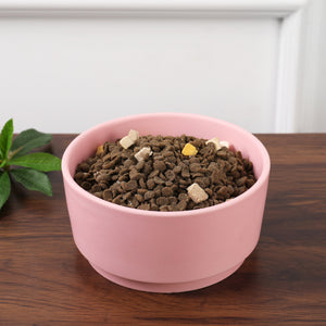 CASA BLUSH ROSE PET BOWL - Park Life Designs