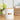 HECTOR WHITE FOOD TIN - Park Life Designs