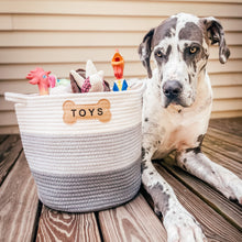 Load image into Gallery viewer, LIVRA PET TOY STORAGE - Park Life Designs