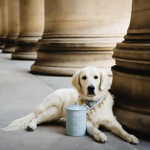 MANOR BLUE TREAT JAR - Park Life Designs