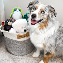 Load image into Gallery viewer, NAPLES PET TOY STORAGE - Park Life Designs