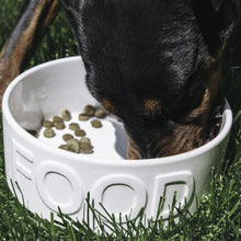 Load image into Gallery viewer, CLASSIC FOOD WHITE PET BOWL - Park Life Designs